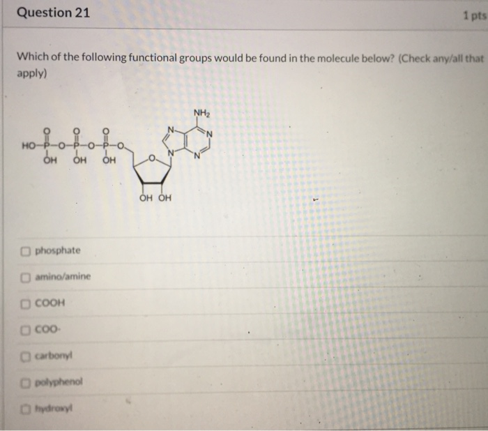 Solved Question 8 1 Pts What Is True About The Molecule Chegg