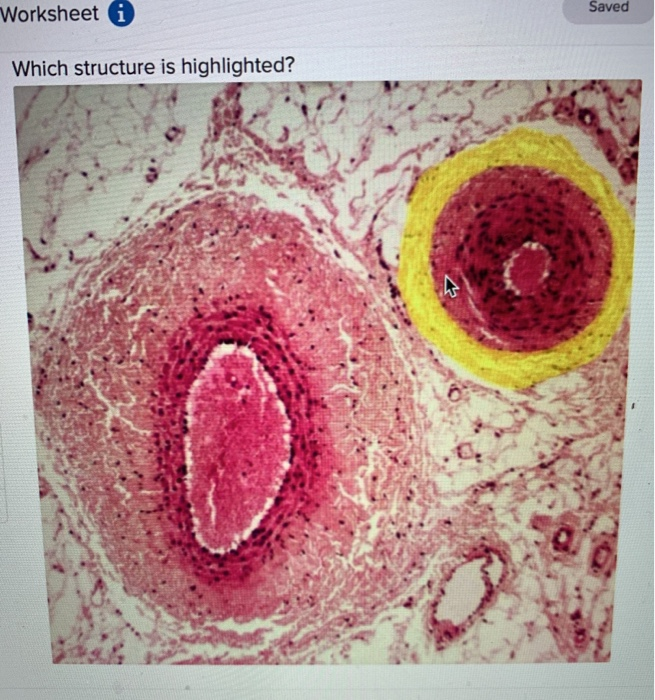 Snipped Image Of A Worksheet Presenting Two Highlighted Columns Cells My Xxx Hot Girl