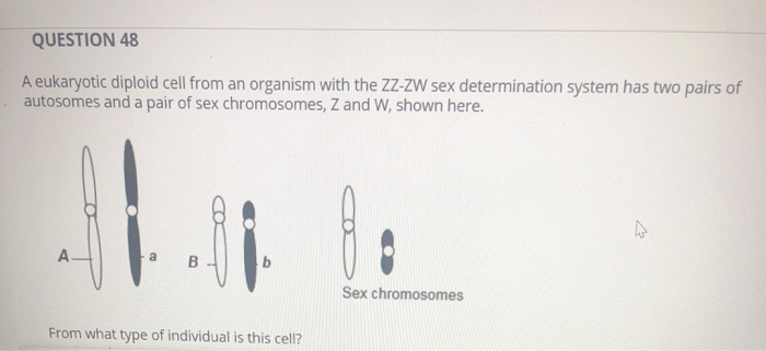 Solved One Form Of Hemophilia Is Caused By A Sex Linked Chegg
