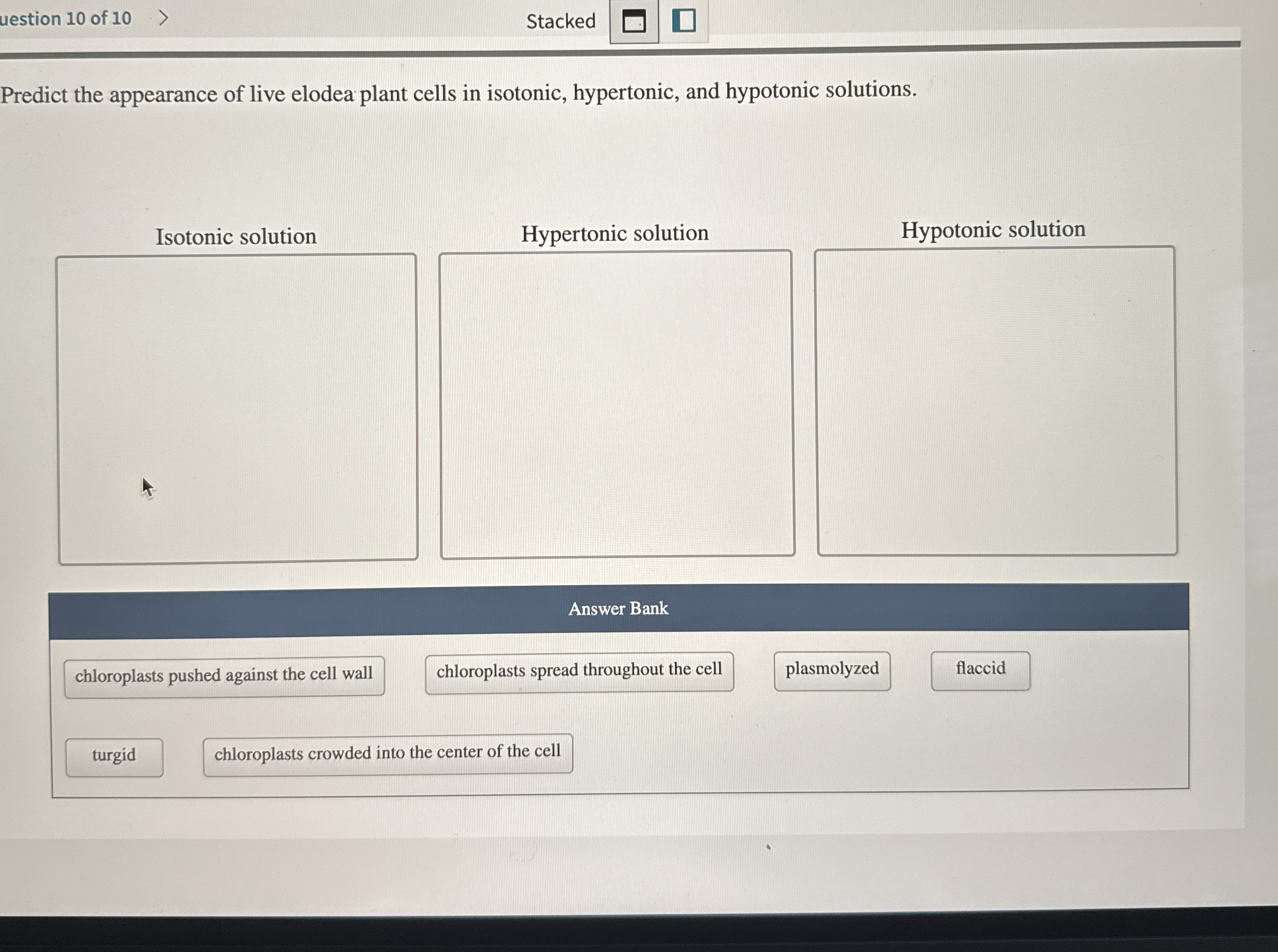 Solved Uestion 10 Of 10StackedPredict The Appearance Of Chegg