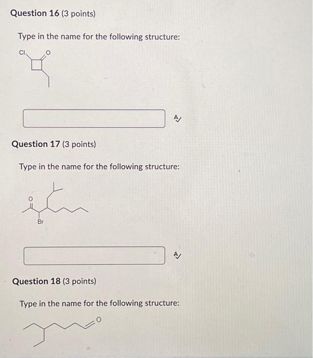 Solved Question 19 3 Points Type In The Name For The Chegg