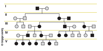 Solved The Following Is A Pedigree For A Common Genetic Trait An