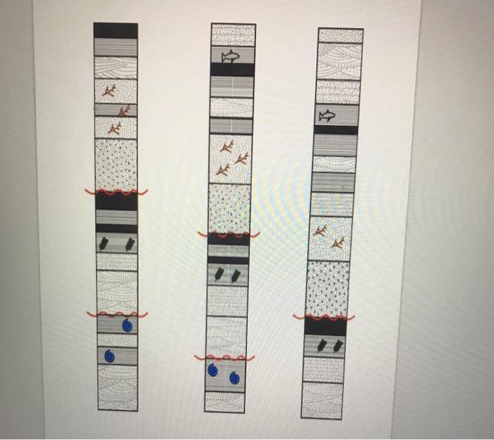 Solved 1 10 Pts Correlate The 3 Stratigraphic Columns On Chegg