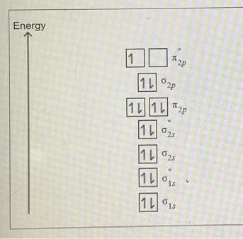 Solved Draw The Molecular Orbital Mo Electron Diagram For Chegg