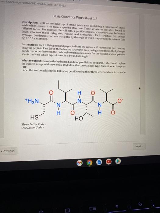 Solved Assignments Modulestemd Basic Chegg