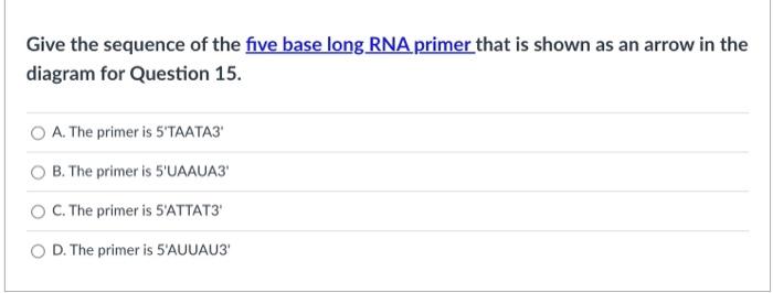 Solved The Diagram Below Depicts A Replication Fork At The Chegg