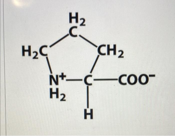 Solved CO CH2 H3NCCoo H H2 H2C CH2 N C 000 H2 H I Chegg