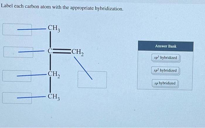 Solved Label Each Carbon Atom With The Appropriate Chegg