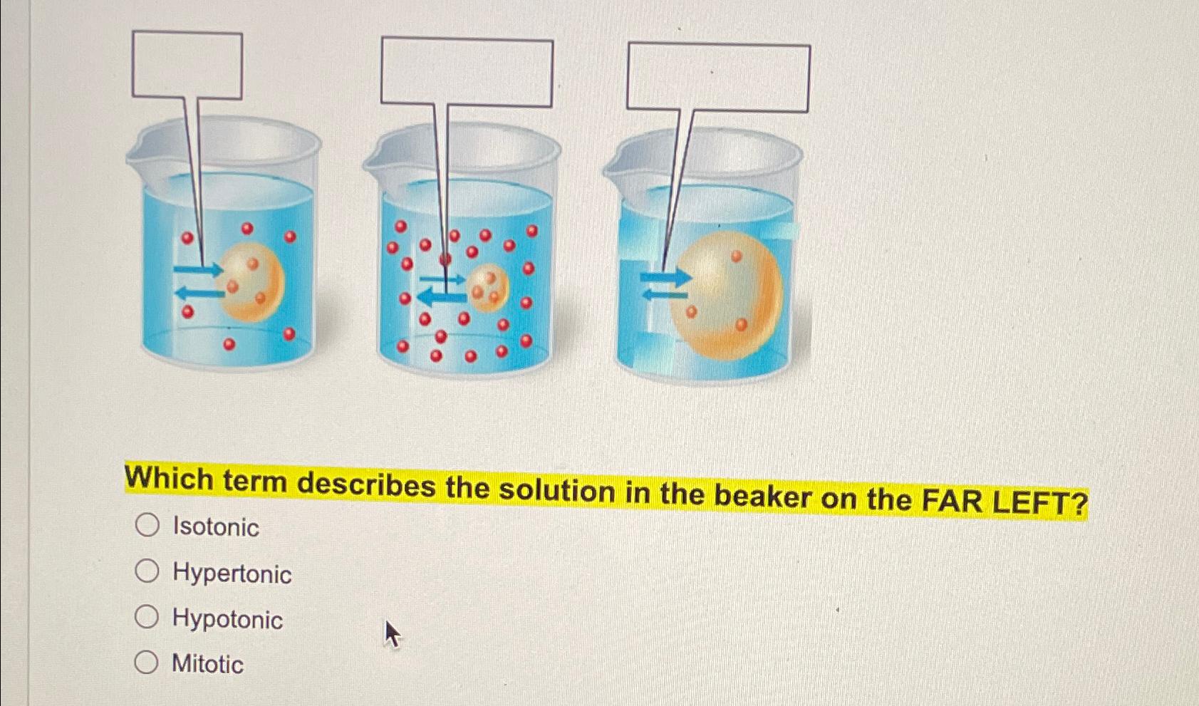 Solved Which Term Describes The Solution In The Beaker On Chegg