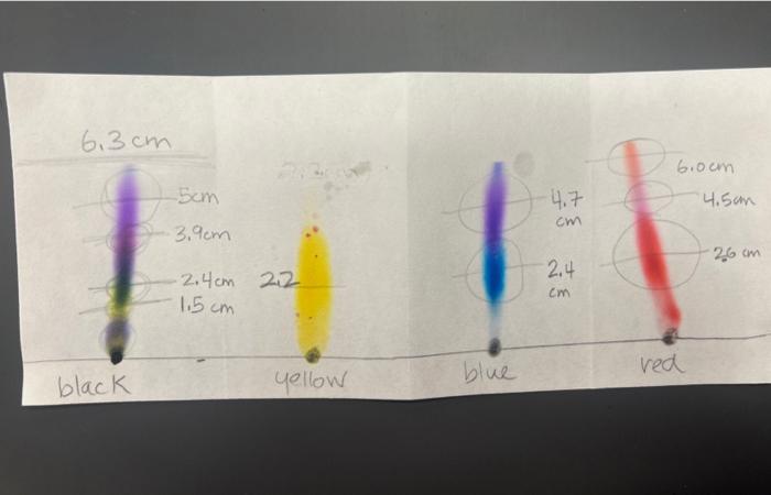 Solved Rf Value S For Pen Paper Chromatography Lab Chegg