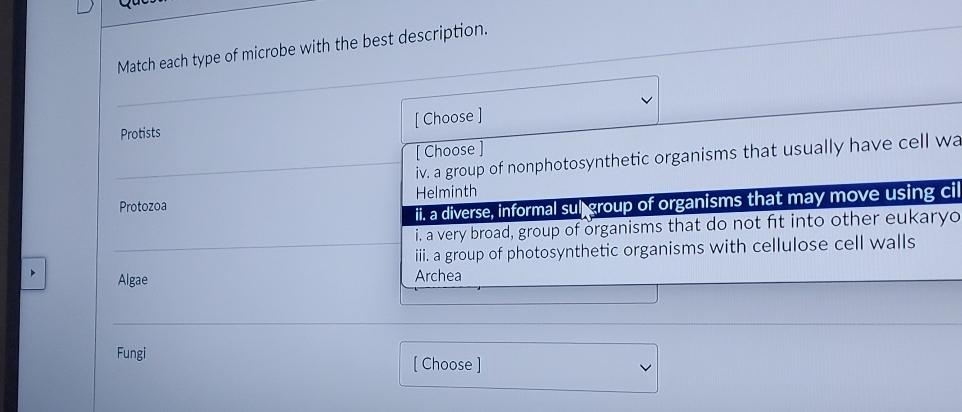 Solved Match Each Type Of Microbe With The Best Chegg