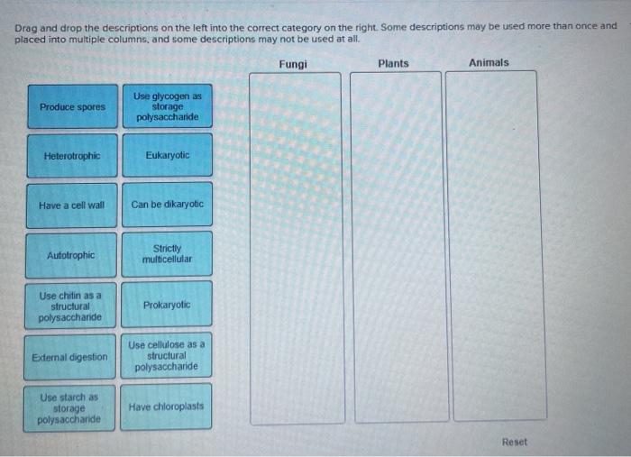 Solved Drag And Drop The Descriptions On The Left Into The Chegg