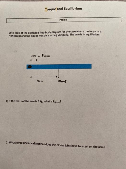 Solved Torque And Equilibrium Prelab Let S Look At The Chegg