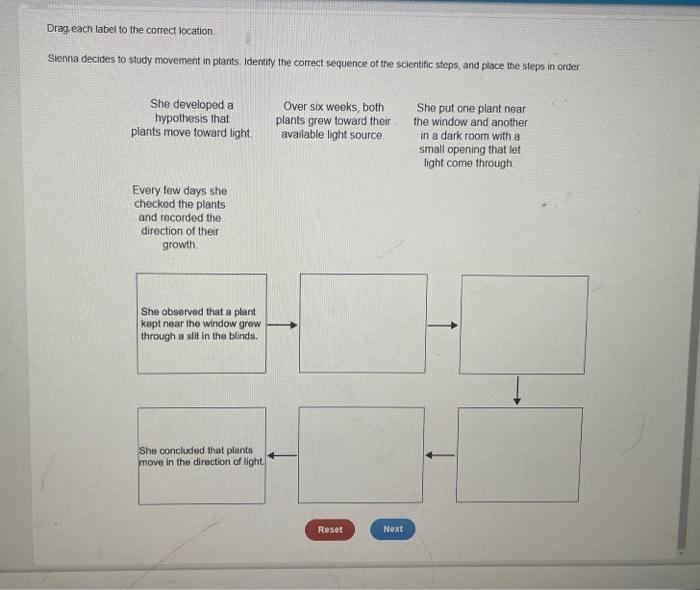 Solved Drag Each Label To The Correct Location Sienna Dex Chegg