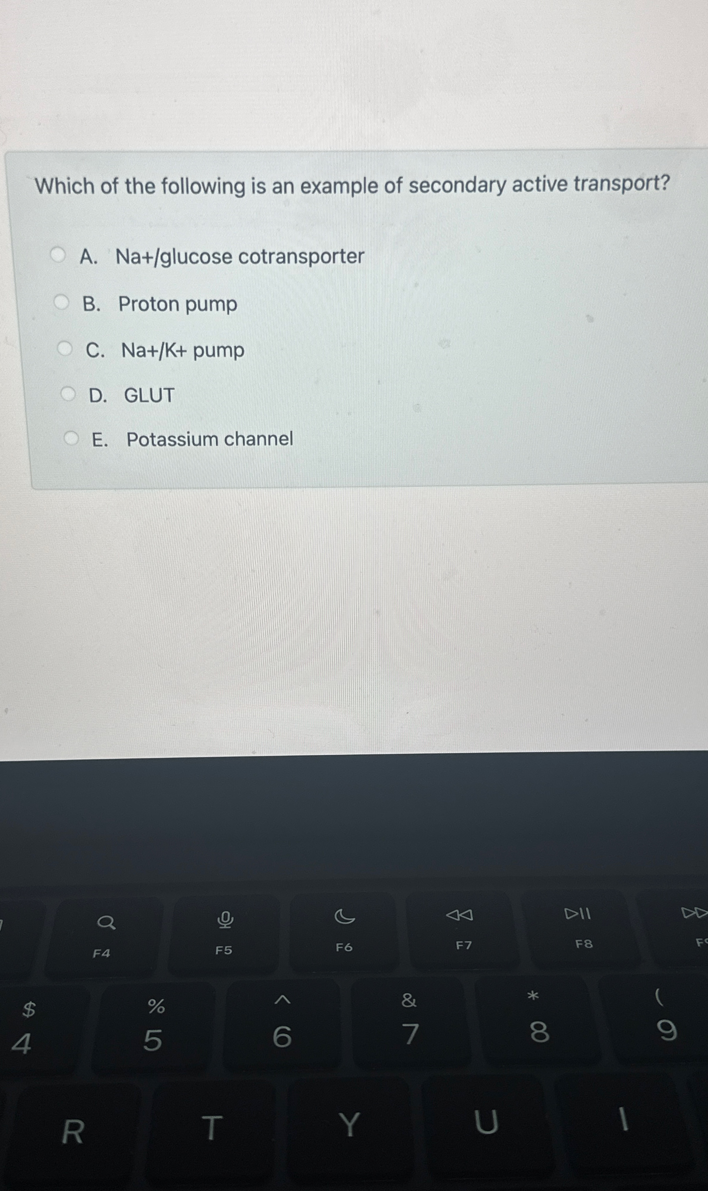 Solved Which Of The Following Is An Example Of Secondary Chegg