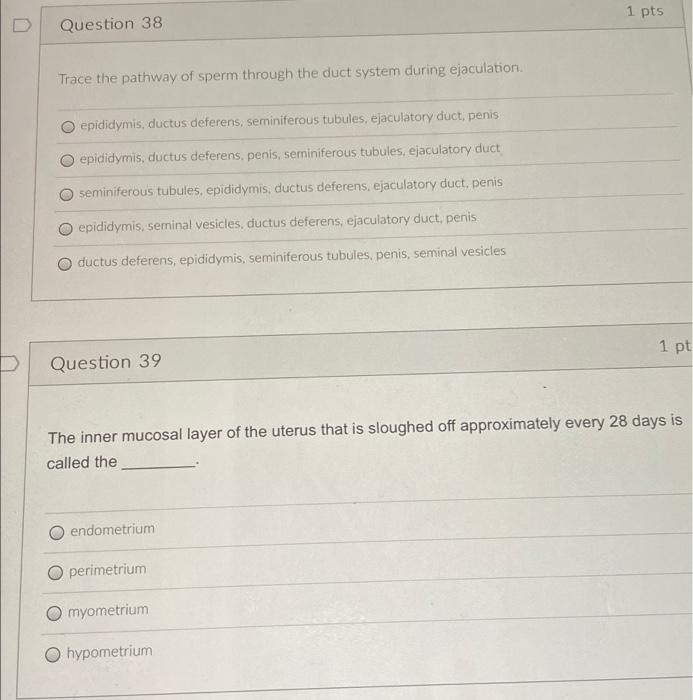 Solved Pts Question Trace The Pathway Of Sperm Through Chegg