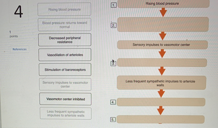 Solved This Flow Diagram Shows The Results Of Stimulation Of Chegg