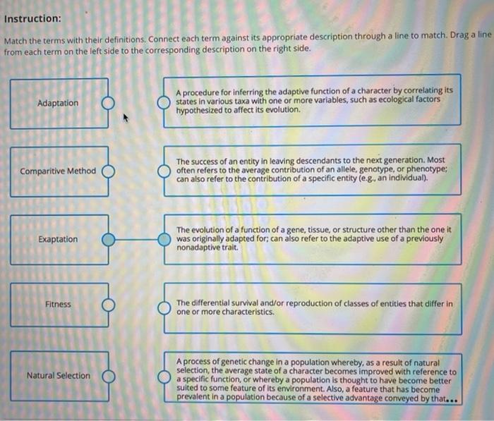 Solved Instruction Match The Terms With Their Definitions Chegg