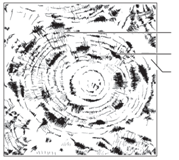 Solved Label The Tissue Types Illustrated Here And On The Next