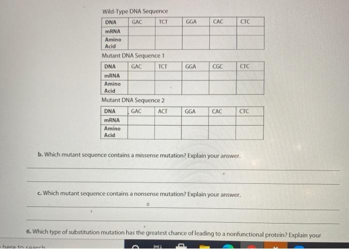 Solved Gga Cac Ctc Gga Cgc Ctc Wild Type Dna Sequence Dna Chegg