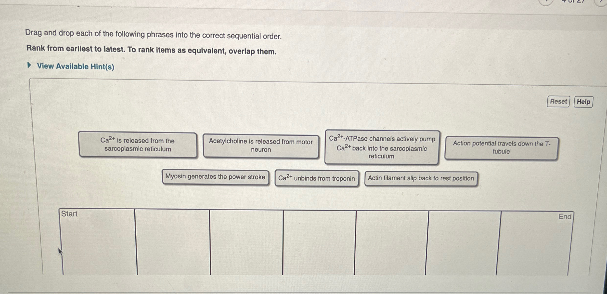 Solved Drag And Drop Each Of The Following Phrases Into The Chegg