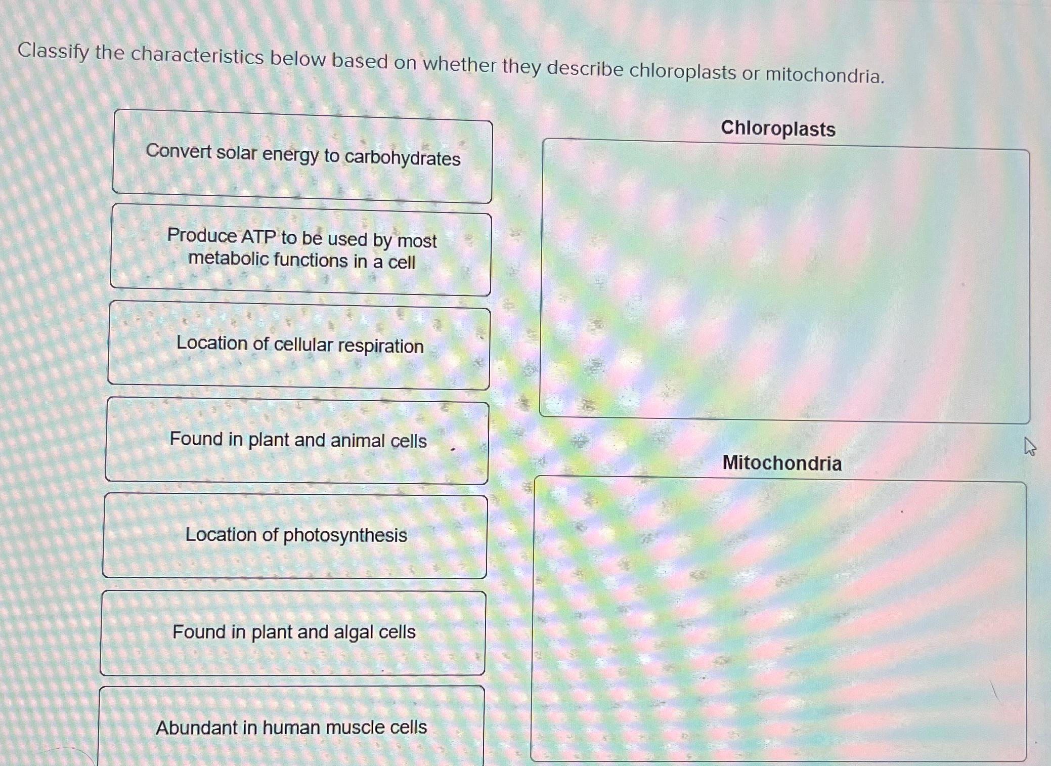 Solved Classify The Characteristics Below Based On Whether Chegg