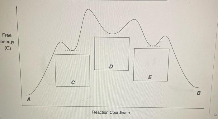 Solved Consider The Following Energy Diagram For The Chegg