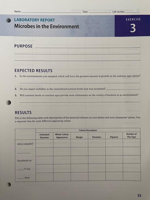 Name Date Lab Section Exercise Laboratory Report Chegg