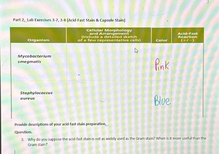 Solved Part 2 Lab Exercises 3 7 3 8 Acid Fast Stain Chegg