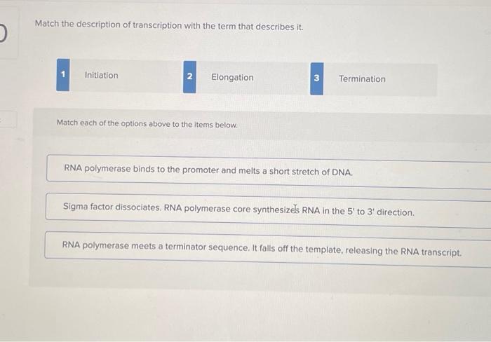 Solved Match The Description Of Transcription With The Term Chegg