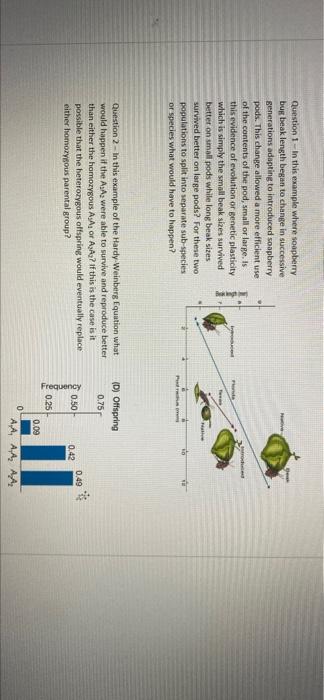 Solved Question 1 In This Example Where Soapberry Chegg