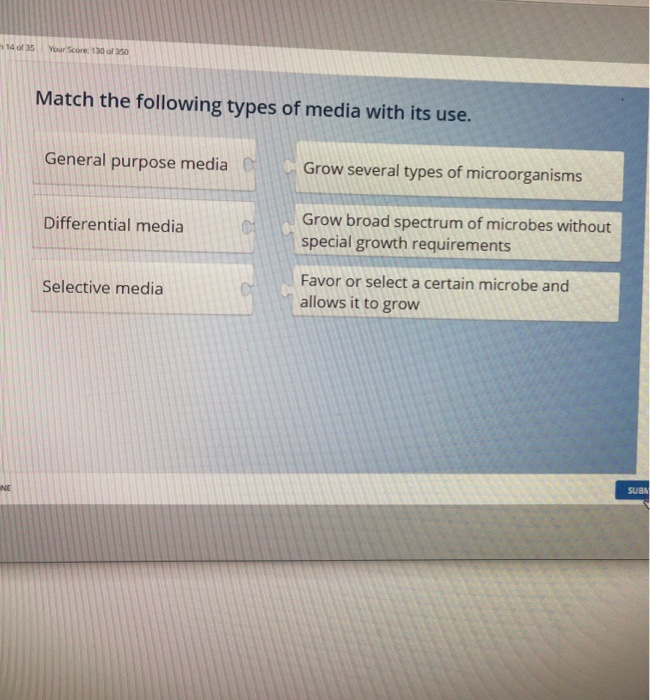 Solved Of Your Score Match The Following Types Of Chegg