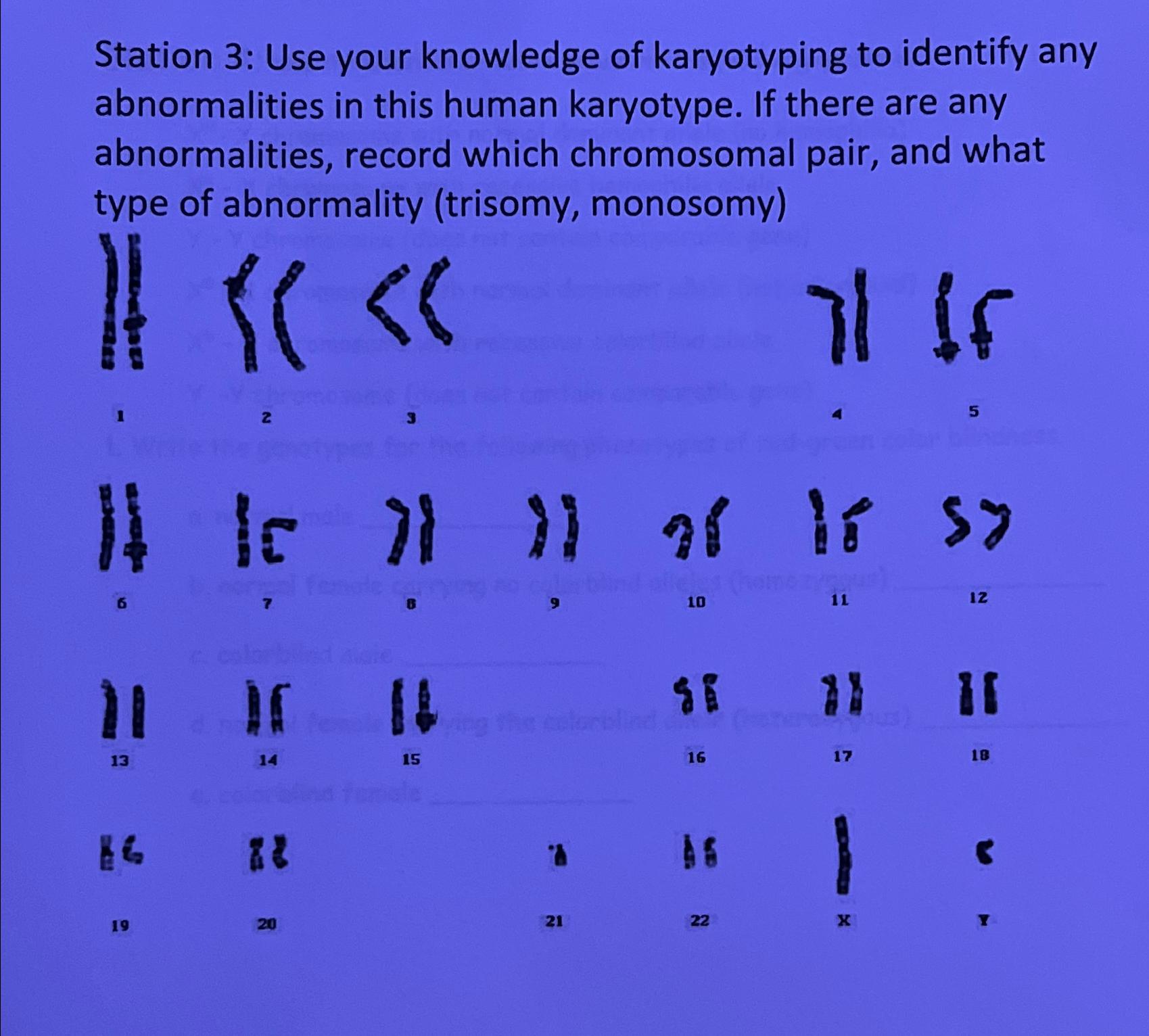 Solved Station Use Your Knowledge Of Karyotyping To Chegg