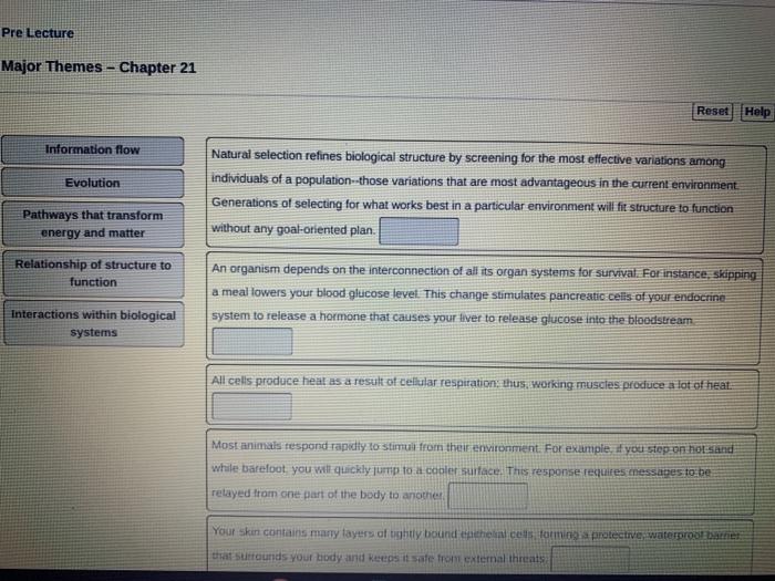 Solved Identifying Major Themes Chapter Can You Thered Chegg