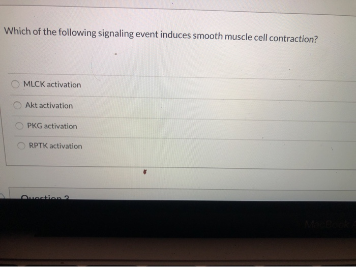 Solved Which Of The Following Signaling Event Induces Smooth Chegg