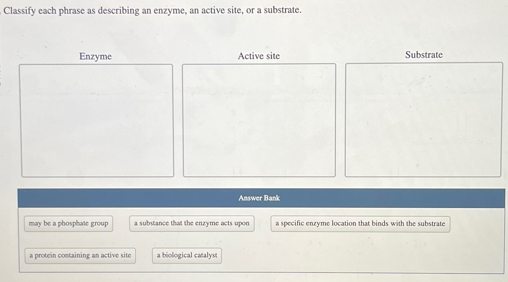 Solved Classify Each Phrase As Describing An Enzyme An Chegg