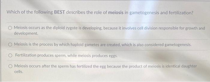 Solved Which Of The Following BEST Describes The Role Of