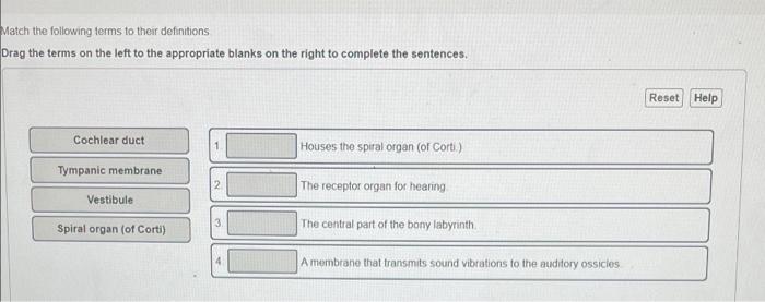 Solved Match The Following Terms To Their Definitions Drag Chegg