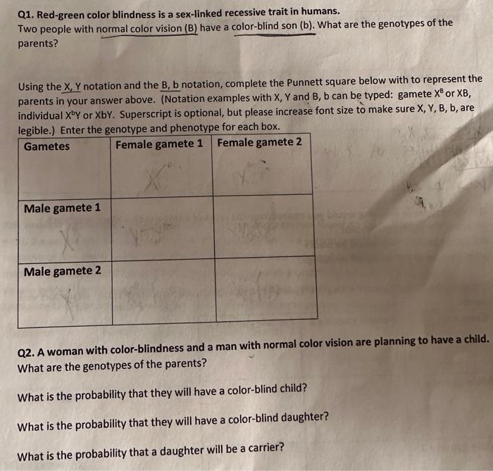 Solved Q Red Green Color Blindness Is A Sex Linked Chegg