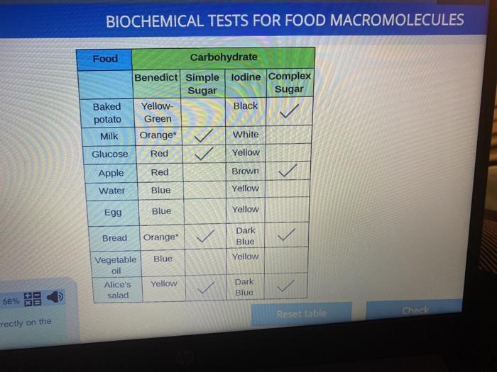 Solved Biochemical Tests For Food Macromolecules Food Chegg