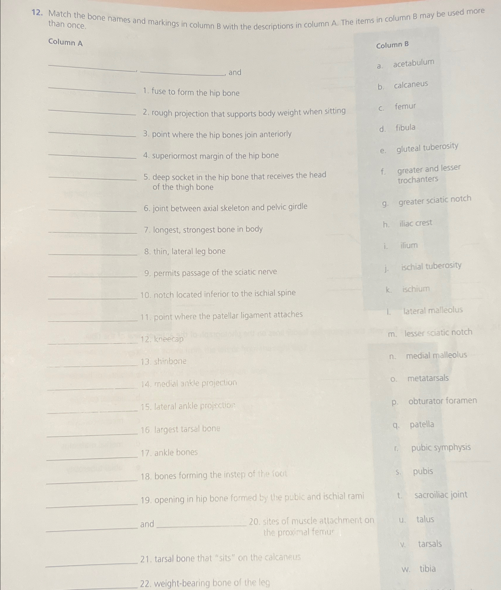 Solved Match The Bone Names And Markings In Column B With Chegg