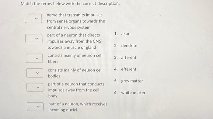 Solved Match The Terms Below With The Correct Description Chegg