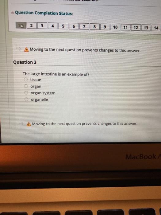 Solved Question Completion Status Chegg