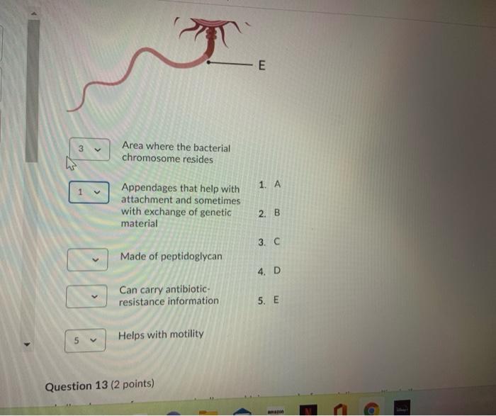 Solved Please Refer To The Figure Below Match The Chegg