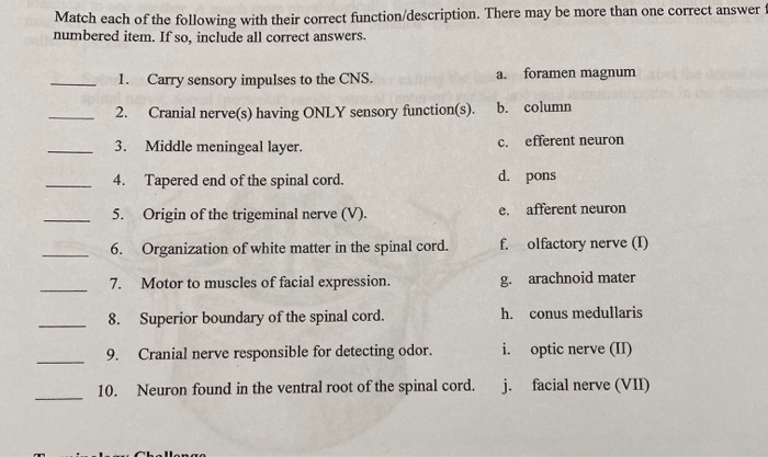 Solved Match Each Of The Following With Their Correct Chegg