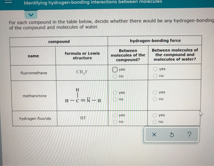 Solved Identifying Hydrogen Bonding Interactions Between Chegg