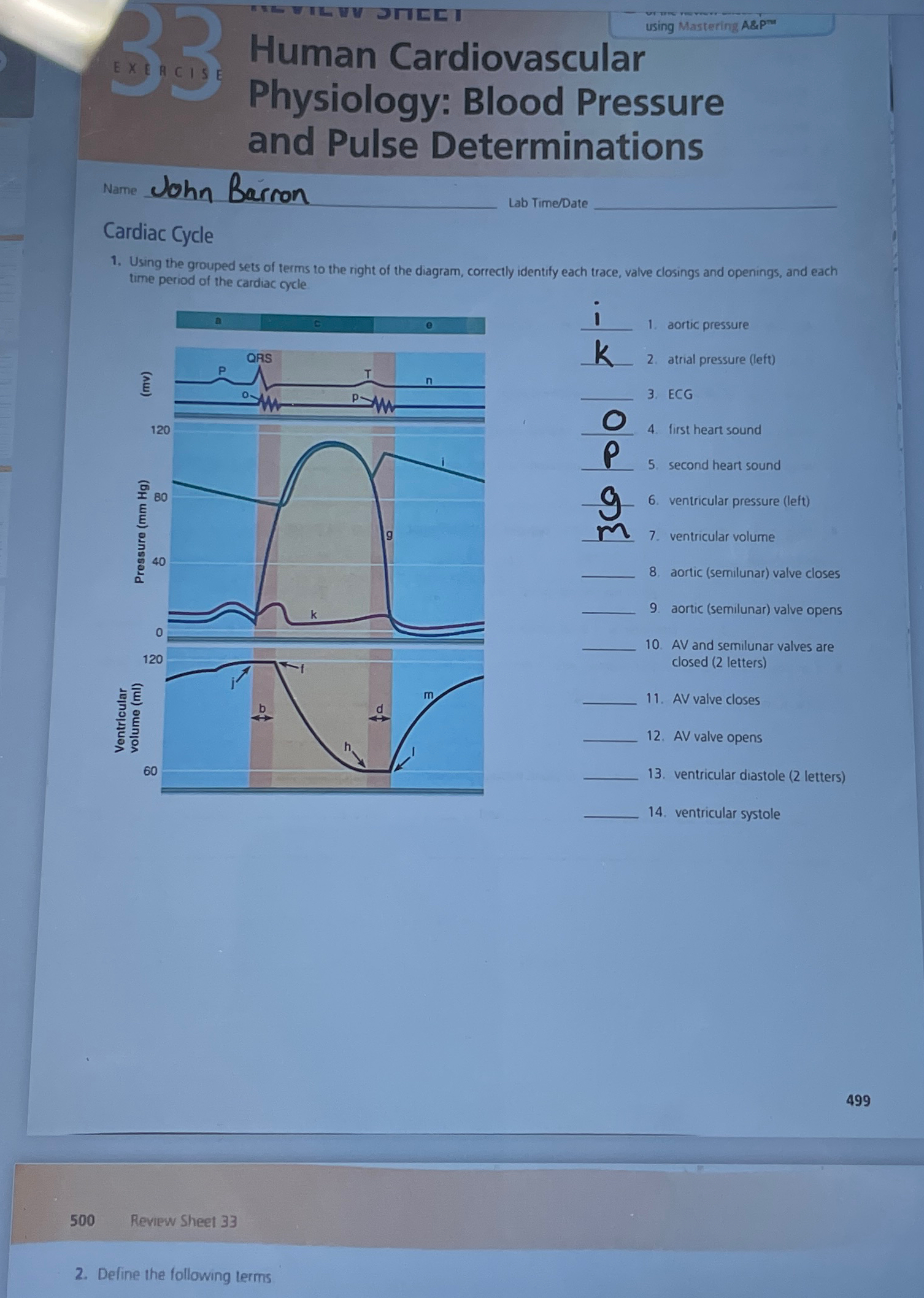 Solved Using Mastering A P Human Cardiovascular Physiology Chegg