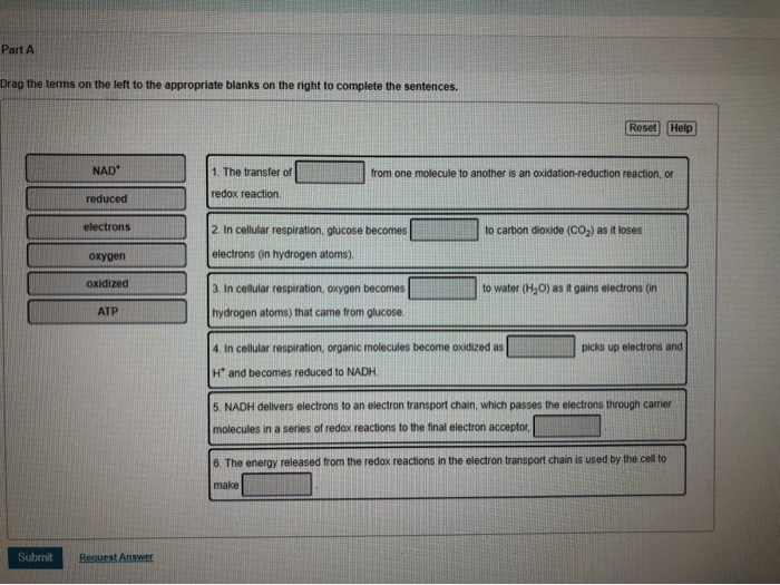 Solved Part A Drag The Terms On The Left To The Appropriate Chegg