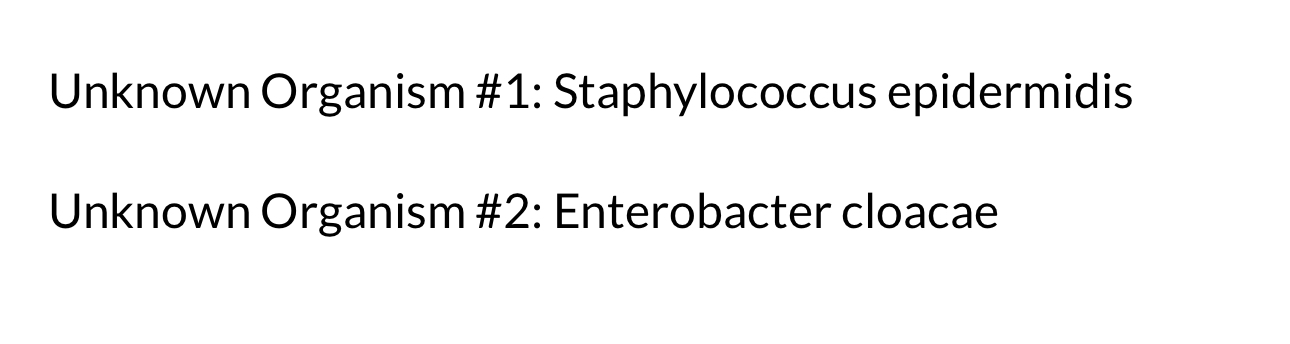 Solved Unknown Organism 1 Staphylococcus Chegg