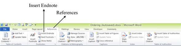 microsoft word 2011 convert endnotes to footnotes